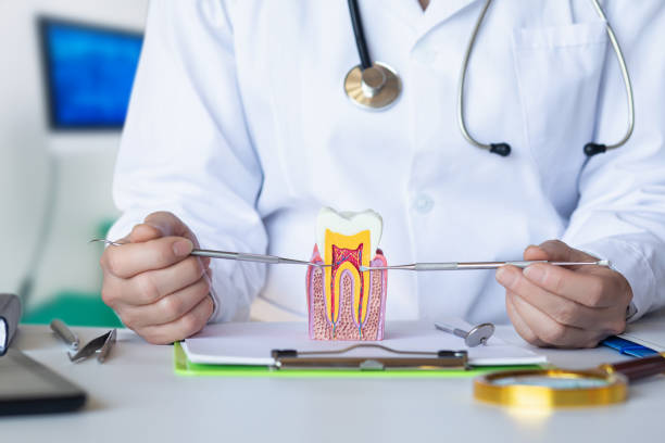 Best Emergency Dentist for Knocked-Out Tooth in Lightstreet, PA
